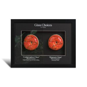 M99-01646-museum-glass-counter-display