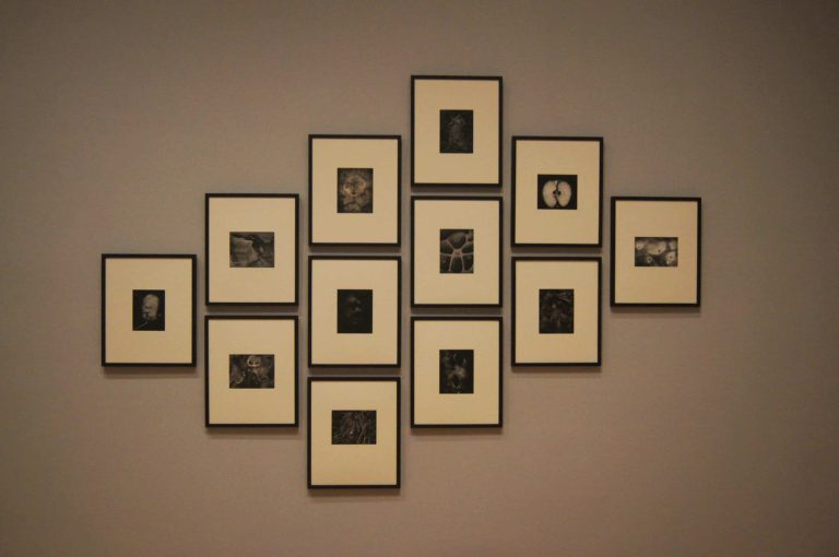 Photo courtesy the High Museum of Art and Wynn Bullock Images ©Bullock Family Photography LLC