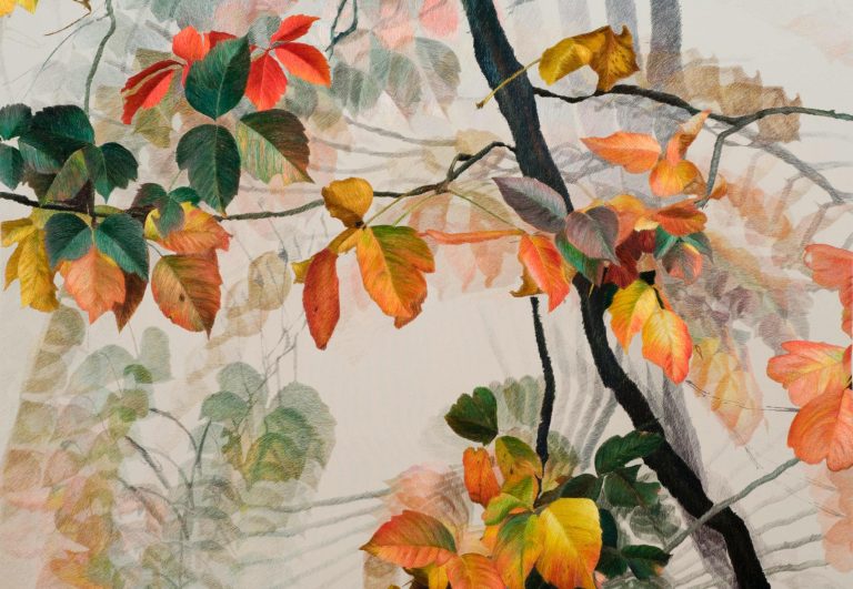 Robert Glenn Ketchum (b. 1947); Graceful Branch Movement [detail]; Silk embroidery; Collection of the artist; Courtesy of Robert Glenn Ketchum.