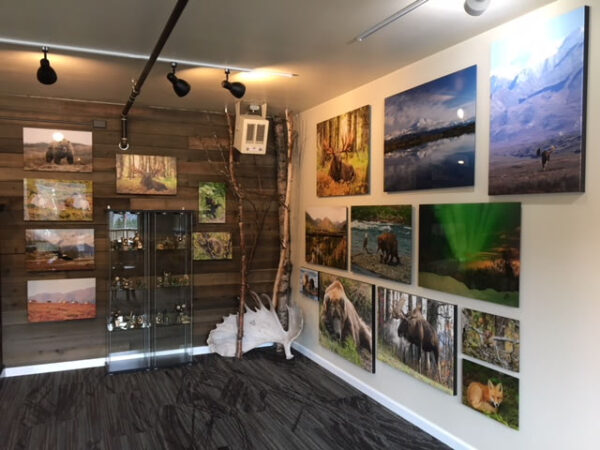 Gallery display featuring TruLife Acrylic photo prints at Kantishna Gallery.