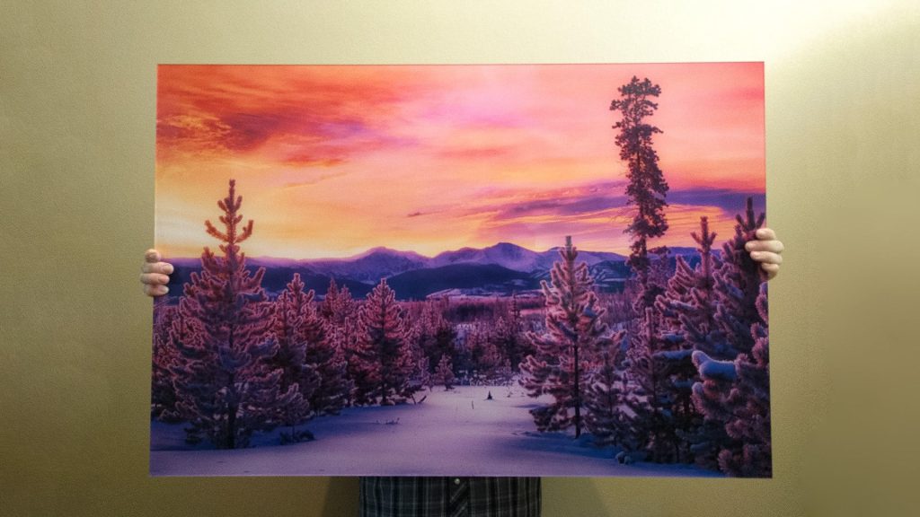 Large-format photo print displayed using TruLife Acrylic for vibrant, glare-free presentation