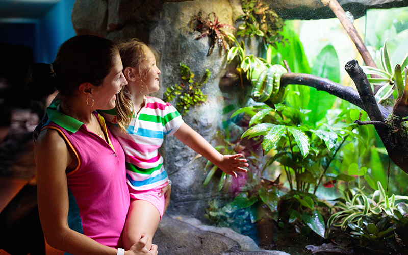 Tru AR Acrylic Application